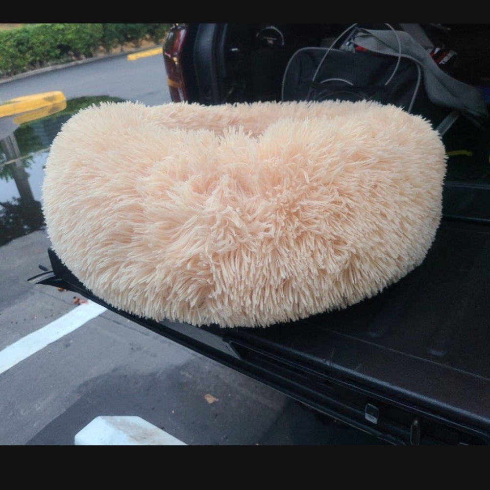 Pet Bed